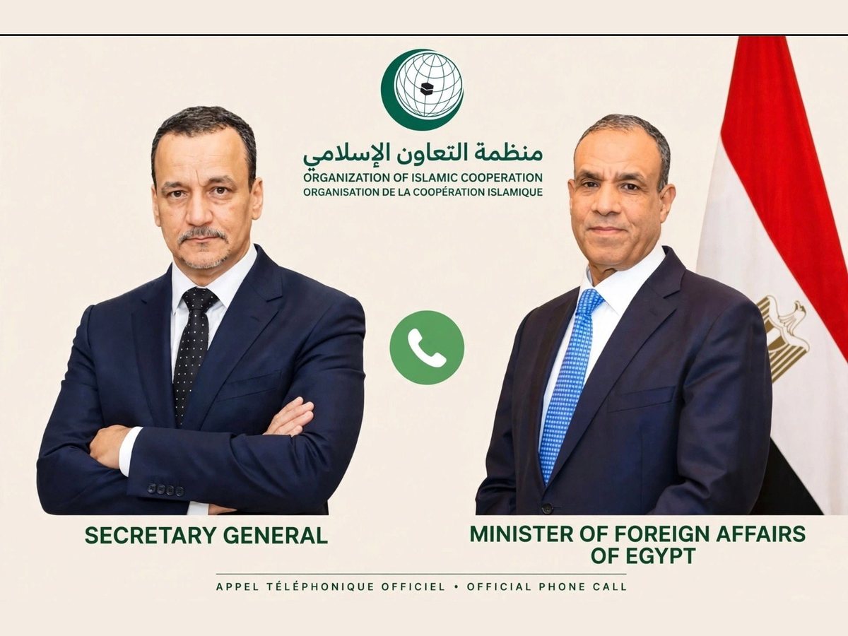 وزير الخارجية المصري