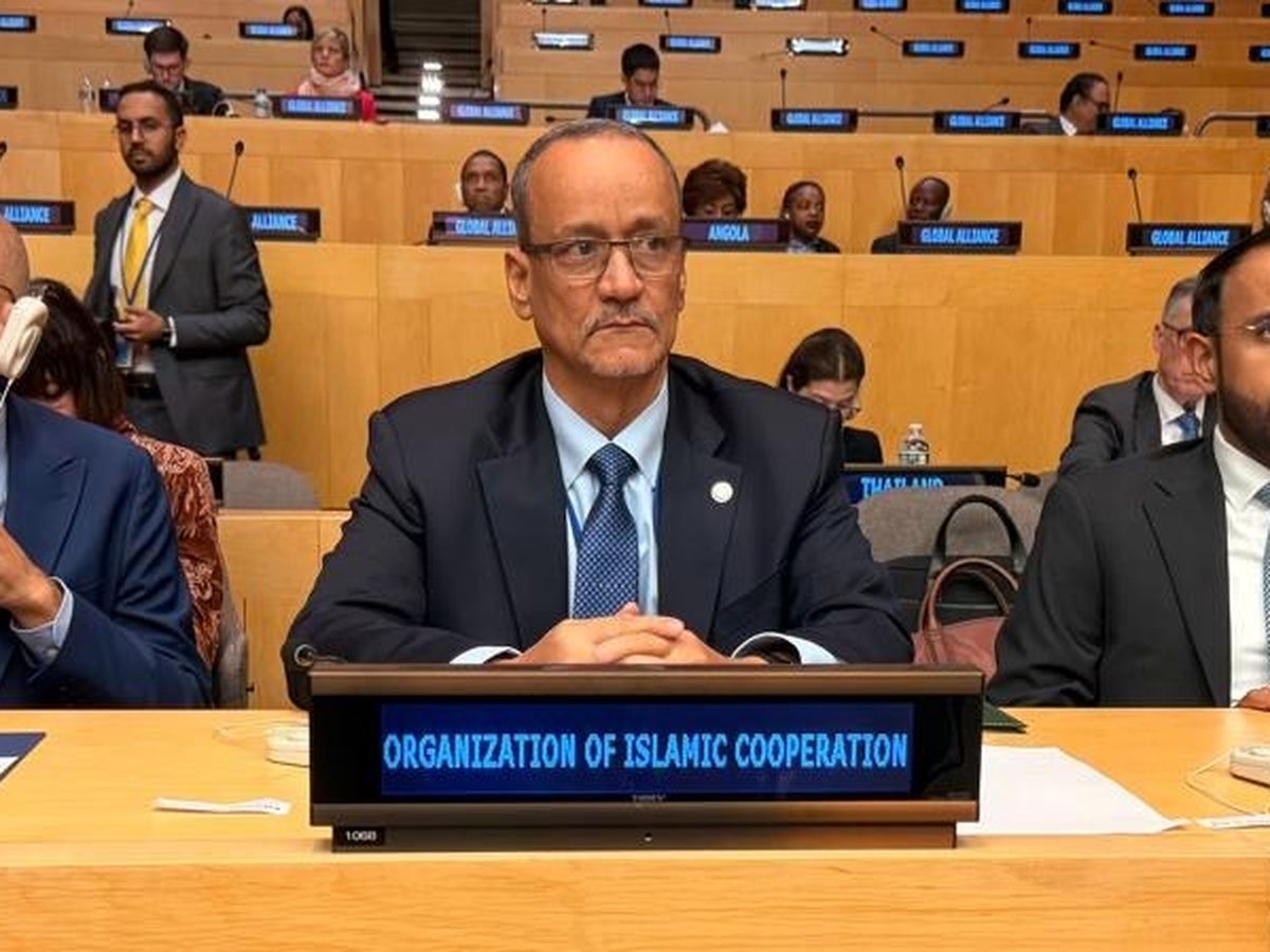الاجتماع الوزاري للتحالف الدولي لتنفيذ حل الدولتين